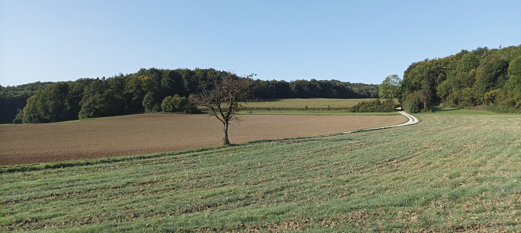 Fränkischer Gebirgsweg