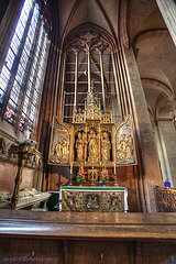 Mainzer Dom 9