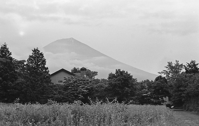 Morning sun and Mt. Fuji