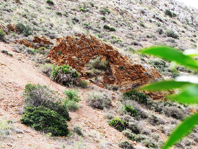 9-La source sous l'arche