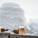 #27 - Gudrun - Hat of snow - 51̊ 0points