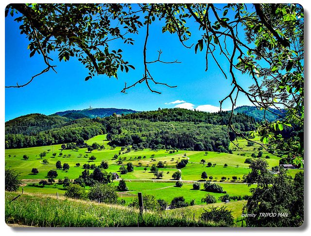 Blauen Markgräflerland 1165 mtr