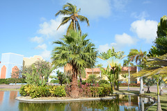 Dominican Republic, Artificial Lake with Palm Island at the Ocean Blue & Sand Hotel