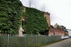 Ruine der ehem. Brauerei Ibing (Mülheim-Broich) / 18.01.2021