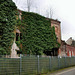Ruine der ehem. Brauerei Ibing (Mülheim-Broich) / 18.01.2021