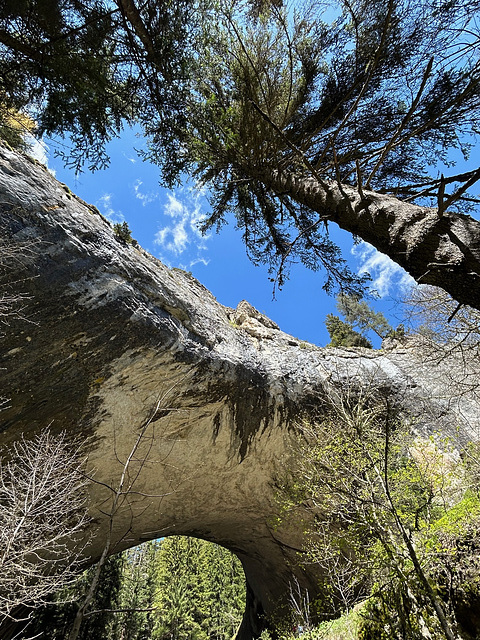 Looking up.