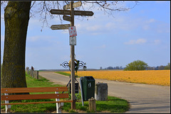 Jesus with signpost(Hbm)