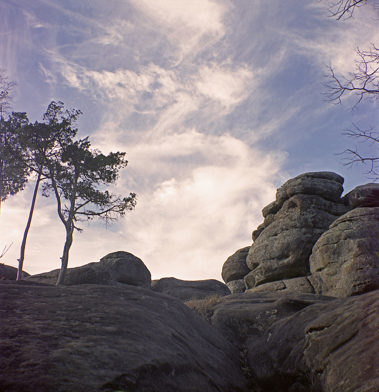 Rock Garden