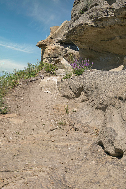 Roche Percee path