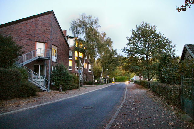 Alsenstraße (Lünen-Süd) / 27.10.2019