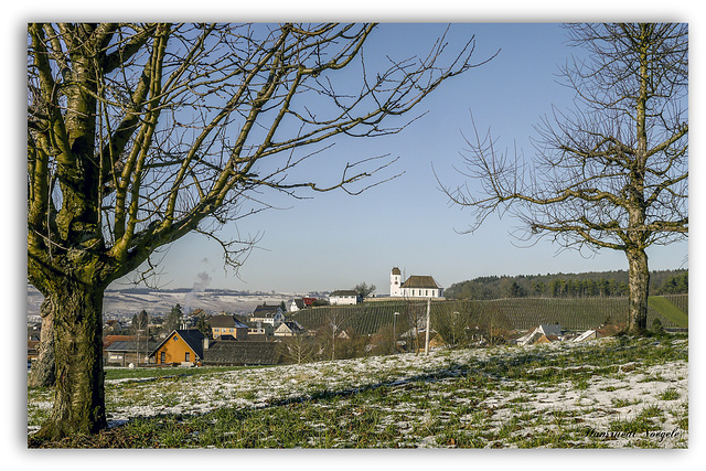 Kirche Wilchingen