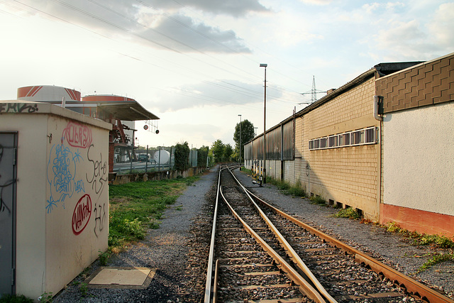 Gleise der Hafenbahn (Düsseldorf-Hafen) / 30.08.2018