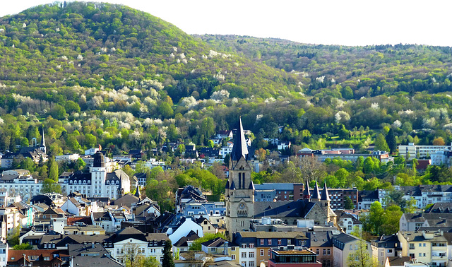 Blick auf Bad Neuenahr