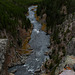#41 - Rob Stamp - Gibbon River, Yellowstone - 26̊ 1point