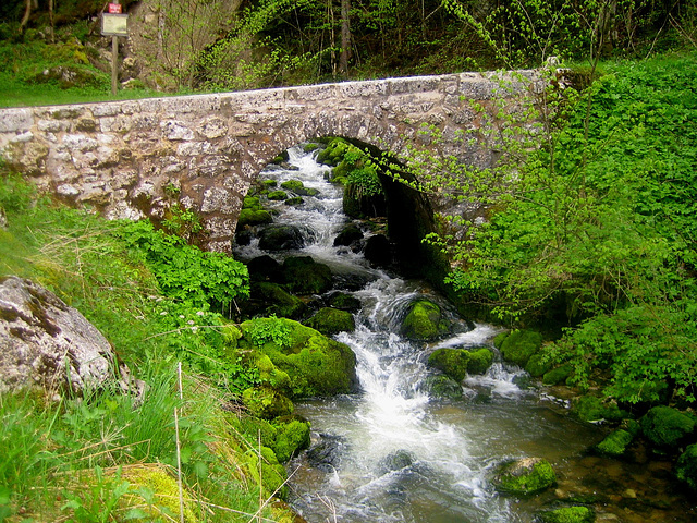 Dans le Jura