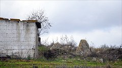 Penedos, Pasture growing