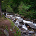 Günster Wasserfall