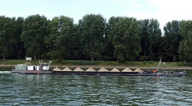 M5100 bei Koblenz-Hochheim bergwärts an Rheinkilometer 588.