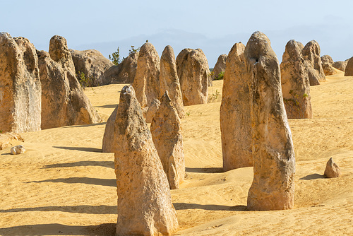 Silent Sentinals of time.