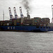 MSC Fortunate