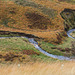 Shelf Brook bends below the Field Barn