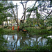 Network Rail tree felling