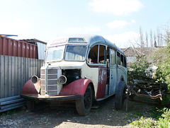 Lodge's Coaches, High Easter - 24 Mar 2019 (P1000667)
