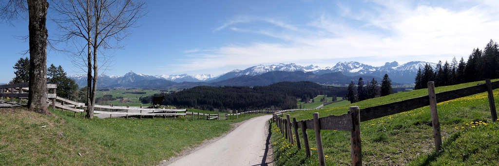 Burgweg nach Zell (pip)