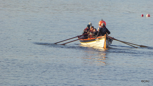 Row row row your boat...Findhorn Bay on a sunny afternoon