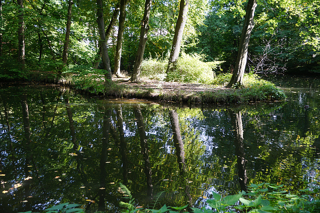 Halbinsel im Schlosspark