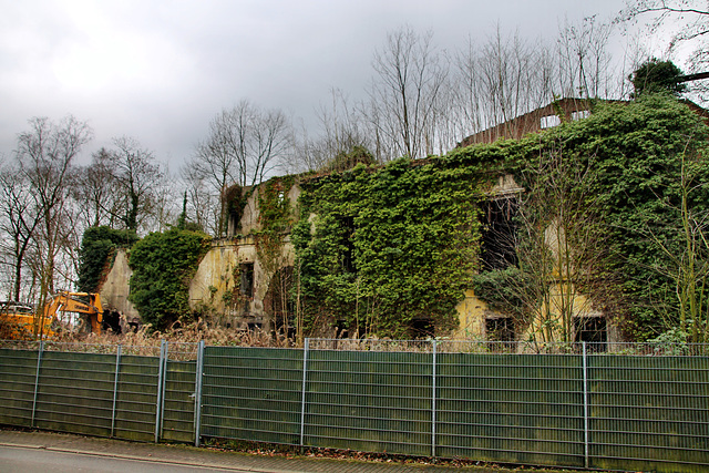 Alte Brauerei Ibing, überwucherte Gebäudereste (Mülheim-Broich) / 18.01.2021