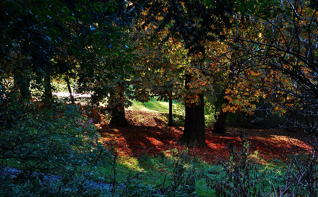 Heaton Park. Newcastle