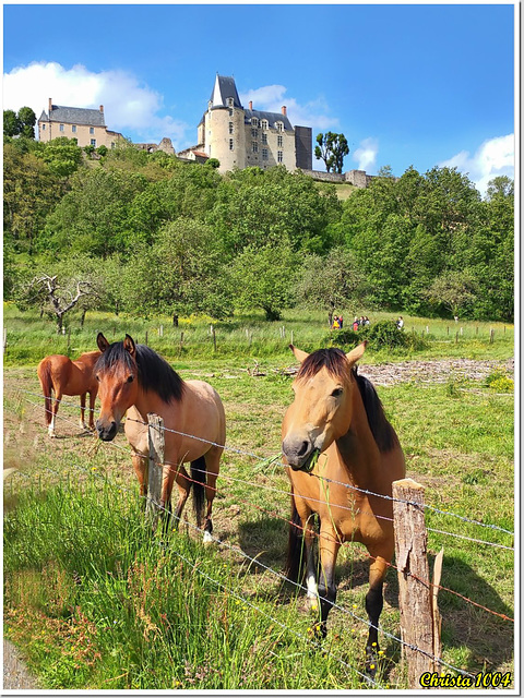 Chevaux devant coulisse historique - HFF