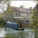 houses by the river