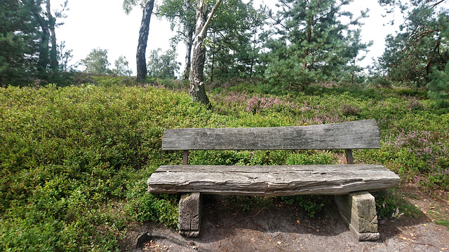 Fischbeker Heide-Bank