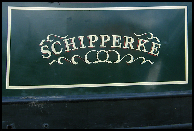 Schipperke