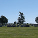 St-Patrick cemetery