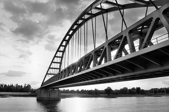 Die Hammer Eisenbahnbrücke über dem Rhein (Düsseldorf-Hamm) / 30.08.2018