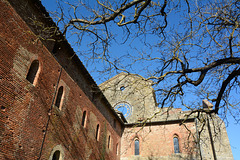 Italy, Windows of the Abbey of San Galgano on the Upper Floors