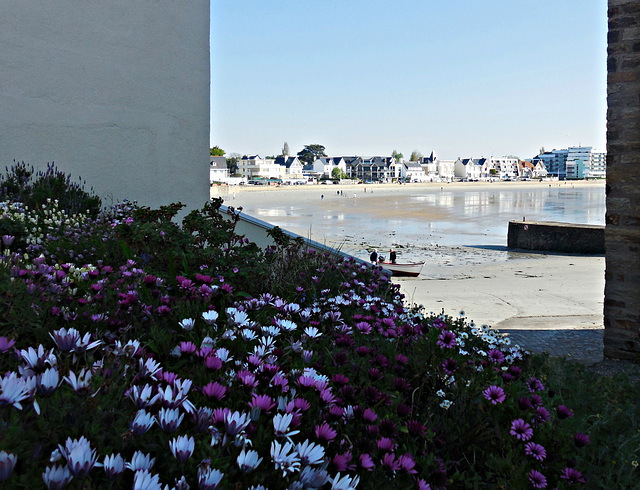 jardin sur la mer