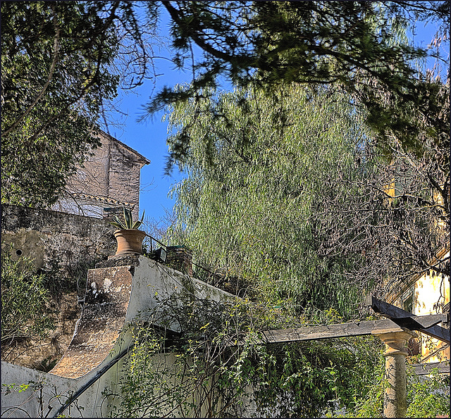 Ronda - Jardín de la Casa del Rey Moro