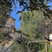 Ronda - Jardín de la Casa del Rey Moro