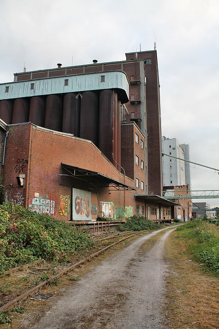 Getreidespeicher der ehem. Firma Muskator (Düsseldorf-Hafen) / 29.09.2016