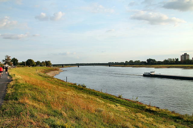 Der Rhein zwischen Düsseldorf und Neuss / 30.08.2018