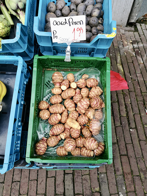 Jerusalem Artichoke