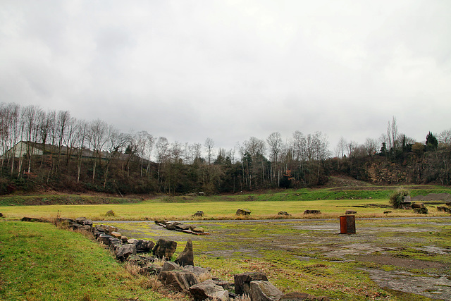 Landschaft am alten Steinbruch Rauen (Mülheim-Broich) / 18.01.2021