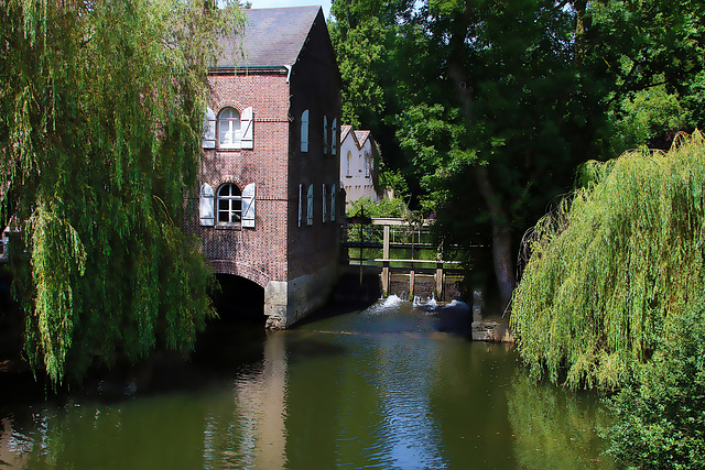 L'Eure au Pont-Tranchefétu