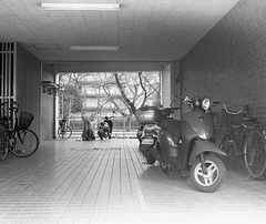 Bikes in an elevator hall