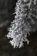 Hoarfrost