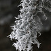 Hoarfrost